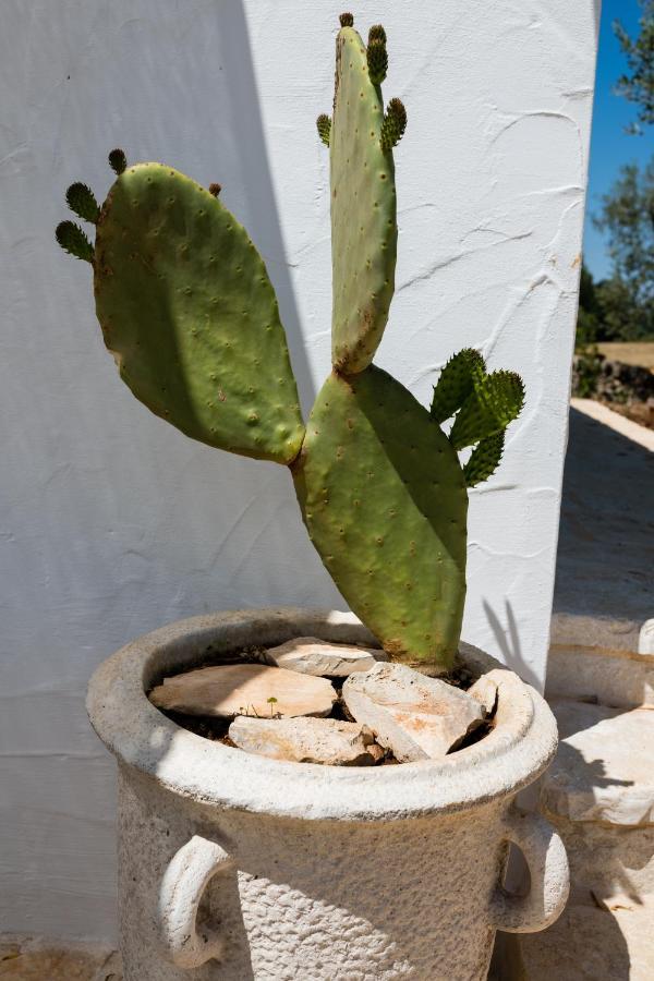 Villa Il Trullo Della Rondinina Alberobello Exterior foto