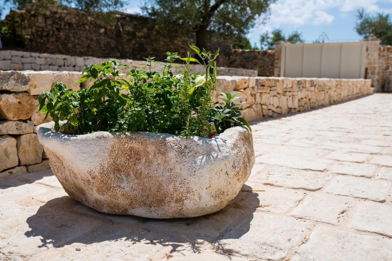 Villa Il Trullo Della Rondinina Alberobello Exterior foto