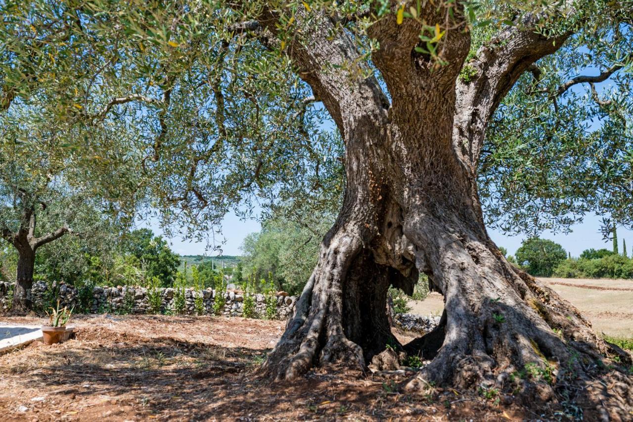 Villa Il Trullo Della Rondinina Alberobello Exterior foto